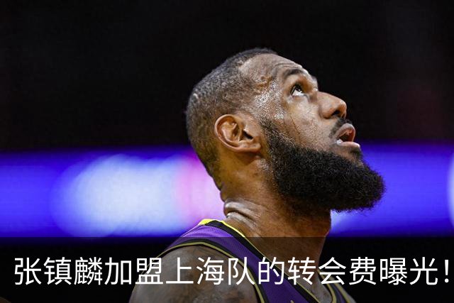 张镇麟加盟上海队的转会费曝光！